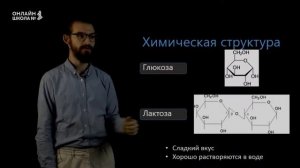 Углеводы. Видеоурок 4. Биология 9 класс