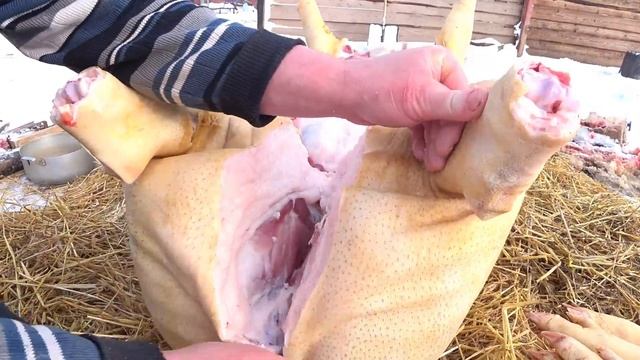Профессиональная разделка туши свиньи