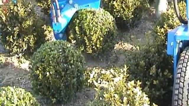 Машина Lommers для стрижки растений и создания формы шара смотреть онлайн