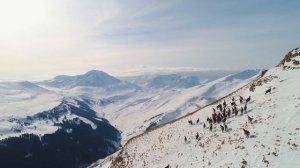 ЖИВОТНЫЙ МИР КАВКАЗА: КАВКАЗСКАЯ СЕРНА