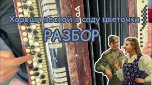 Хороши весной в саду цветочки /РАЗБОР НА БАЯНЕ за 2 минут/