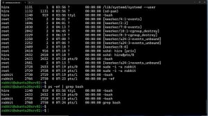 【Linuxコマンドの基本02】一行で書くプログラム　ワンライナー　（この動画で解説してあるコマンド：grep sort uniq awk tee ps）