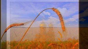 Людмила Зыкина/Песнь о России. авт. Лена Ли.