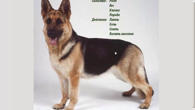 1 Урок - Введение смотреть онлайн