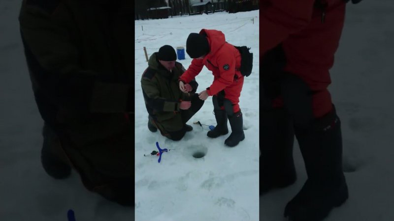 Голицыно Fish