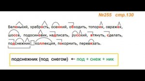 Руский язык учебник. 3 класс. Часть 1. Канакина Упражнение 255
