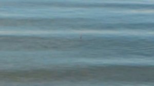 Рыбалка на Иркутском водохранилище