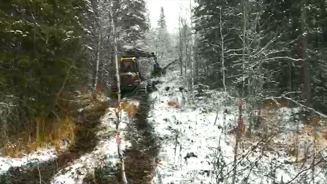 Вездеход преодолевает брод бобры построили плотину