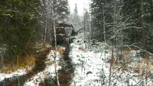 Вездеход преодолевает брод бобры построили плотину