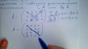 След матрицы. Главная диагональ. Побочная диагональ. Диагональные элементы