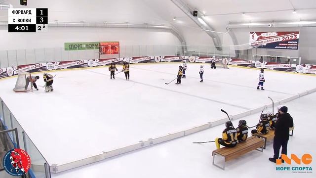 ЗШ (2) 10-11 г.р. | Форвард - Серебряные волки | 24 Ноября 2023 г. 13:50 | смотреть онлайн