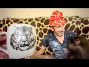 Мы получили ОГРОМНУЮ ПОСЫЛКУ, Степа и Люся рады подаркам!