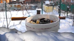 Е. Носов.Тридцать зерен. Рассказ