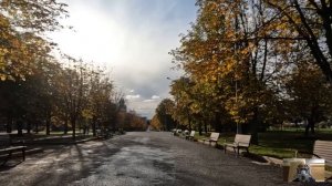 Жена массажиста решила проверить мужа, а когда оделась бомжихой и пришла к нему в кабинет