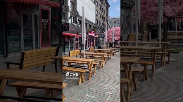 Гастрономическая улица Новосибирск Площадь Ленина Центральный район Советская Фастфуд Стритфуд НСК
