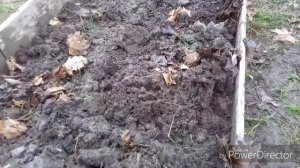 Подготовка грядки под озимый чеснок. Посадка чеснока