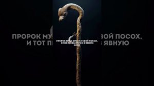 Пророк Муса (мир ему) часть 1