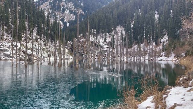 Озеро Каинды – очень фотогеничное место в Казахстане смотреть онлайн