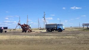 МАЗ-5549.Выгрузка пшеницы.