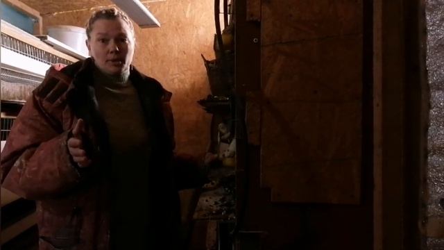выгодно ли держать перепелов