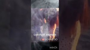 Новая Цыганская песня СОН МОЙ ЗАБРАЛА? 2023