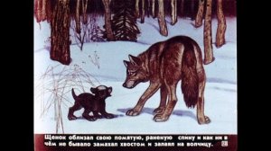 Белолобый. Краткое содержание рассказа Чехова