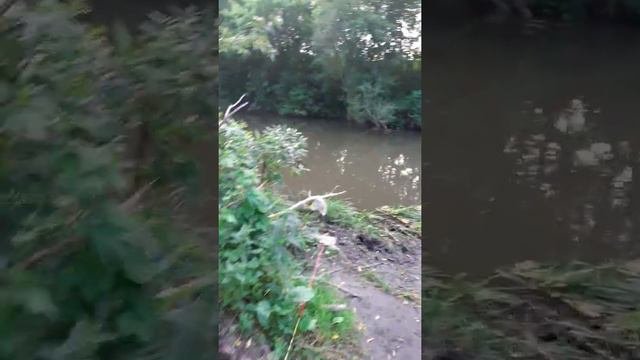 рыбалка на река бачатка.