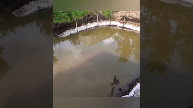 Пруд своими руками. Бюджетное укрепление берегов пруда на приусадебном участке.
