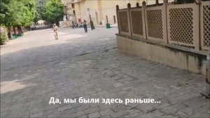 Утро Shashi в Джайпуре, птички в саду, цветы у храма, дворец ветров Хава Махал.