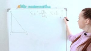 Теория по ТРИГОНОМЕТРИИ | Что такое sin, cos, tg и ctg? | Мир Математика