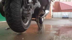 Резина Metzeler FeelFree, часть 2