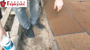 Посев гибридов перца Амарок и Мадонна от  HMClause в Ольшанах.