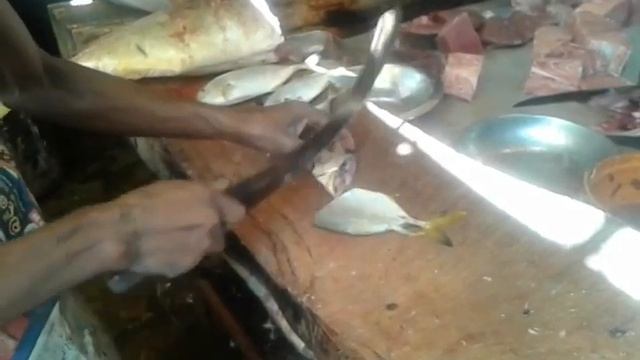 Рыбный рынок Калутара Шри Ланка