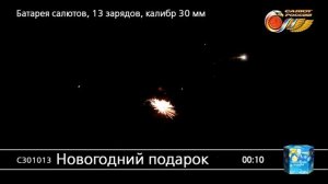 С301013 Новогодний подарок