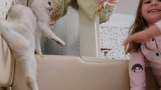 Арина и Милашка кошка