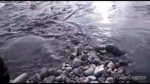 Река "Урми"