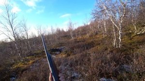 ОХОТА НА КУРОПАТКУ В НАРЬЯН - МАРЕ / КРАСОТЫ СЕВЕРНОЙ ТУНДРЫ / Hunting