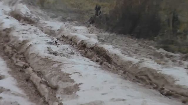 Старики деревни Жельно Тверской области просят хлеба и права на жизнь. смотреть онлайн