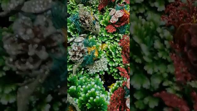 Selaginella with Christmas decorations 🎄🎍✨ смотреть онлайн
