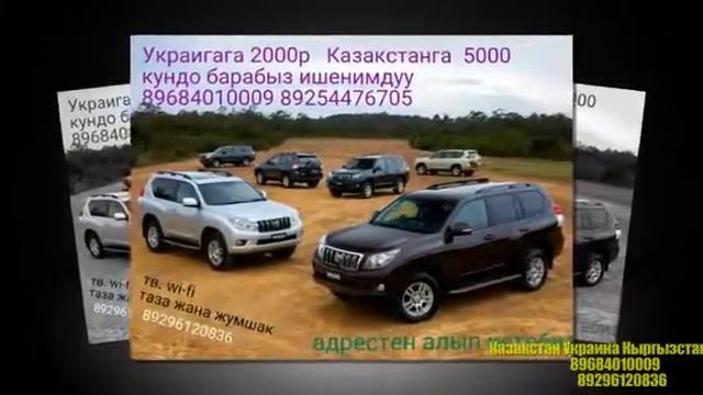 такси для пересичение границы 89296120836 смотреть онлайн