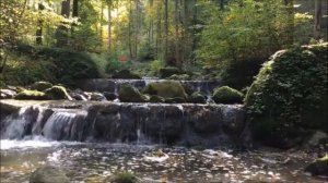 Скажи мне водопад... как жизни наши схожи...