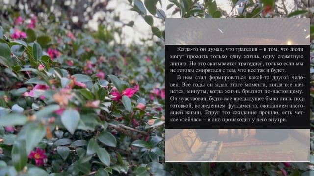 И это всё, что я прочла за 4 месяца?! ?| прочитанное за зиму (лето)?| Книги и мысли о всяком ?