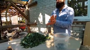 Полный процесс изготовления иван чая