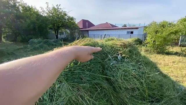 вывезли из ЮЖНОГО дома 20 кубов хлама за 6 тыс руб смотреть онлайн