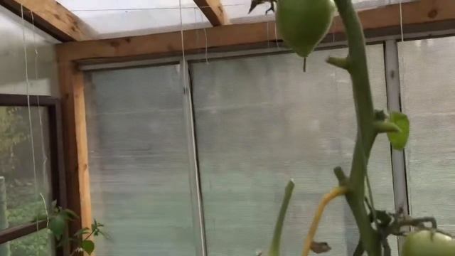 Последний сбор урожая в конце октября смотреть онлайн