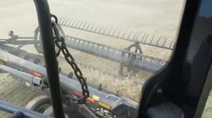 Начало уборочной 2020, работа комбайнов CASE IH Axial-Flow 8250 (Воспоминание)