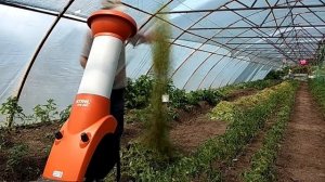 Уничтожение сорняков огорода в блендере (Измельчитель Stihl GHE 250)