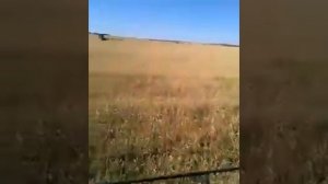 Как происходит обмолот зерна на комбайне Джон Дир (John Deere)