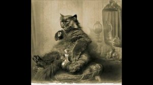 Вера  Полозкова   хочется выкупить