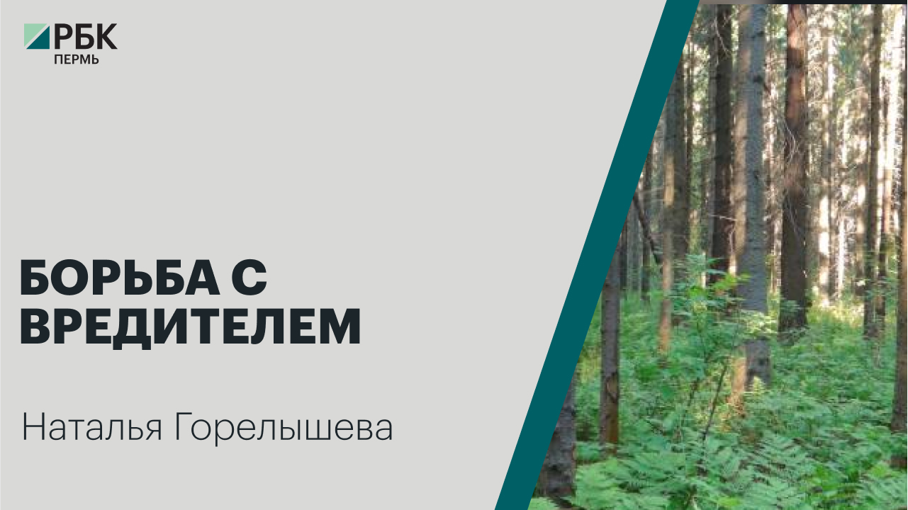 Борьба с вредителем | Наталья Горелышева